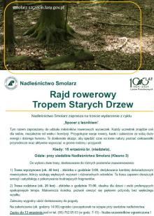 Rajd rowerowy Tropem Starych Drzew.